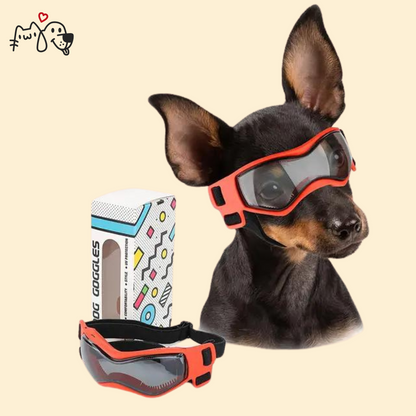 Gafas de Sol - PgPets