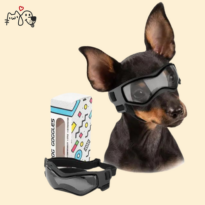 Gafas de Sol - PgPets