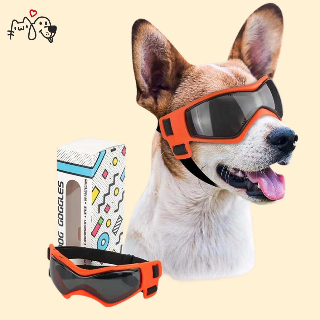 Gafas de Sol - PgPets