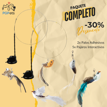 Pájaro Interactivo - PgPets