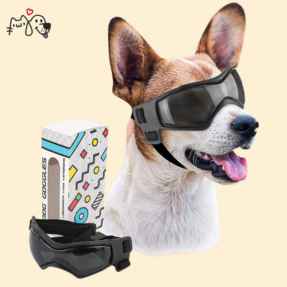 Gafas de Sol - PgPets