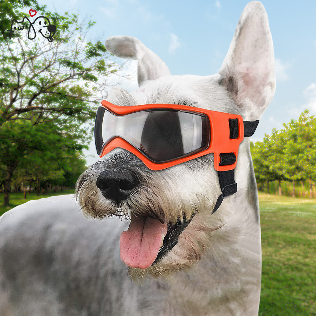 Gafas de Sol - PgPets