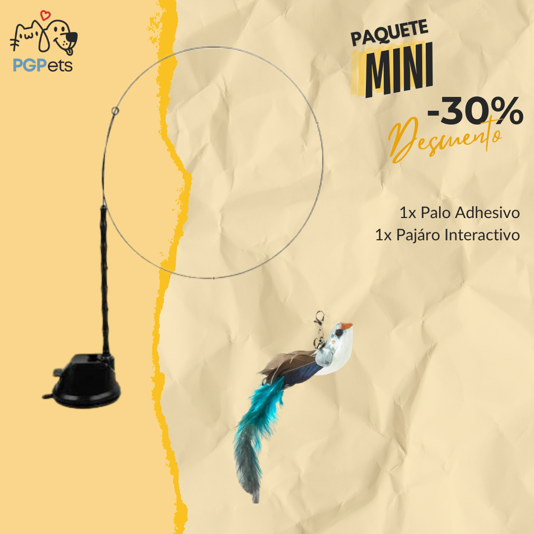 Pájaro Interactivo - PgPets